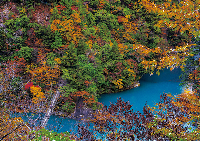 紅葉の寸又峡