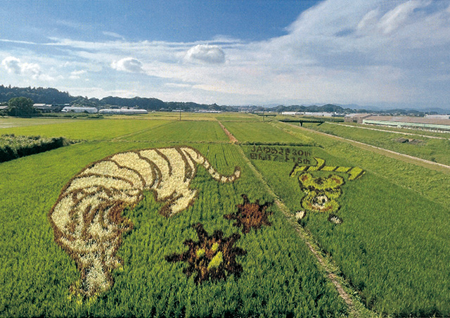 田んぼでアート