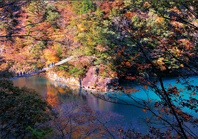 エメラルドグリーンの湖面と紅葉
