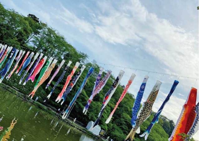 屋根より高い鯉のぼり