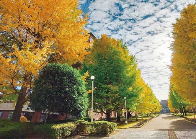 秋の静岡県立大学