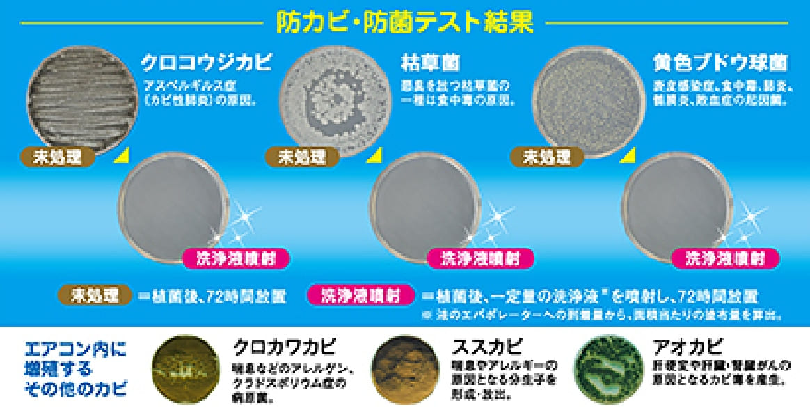 強力なカビ・菌へのテスト結果 イメージ
