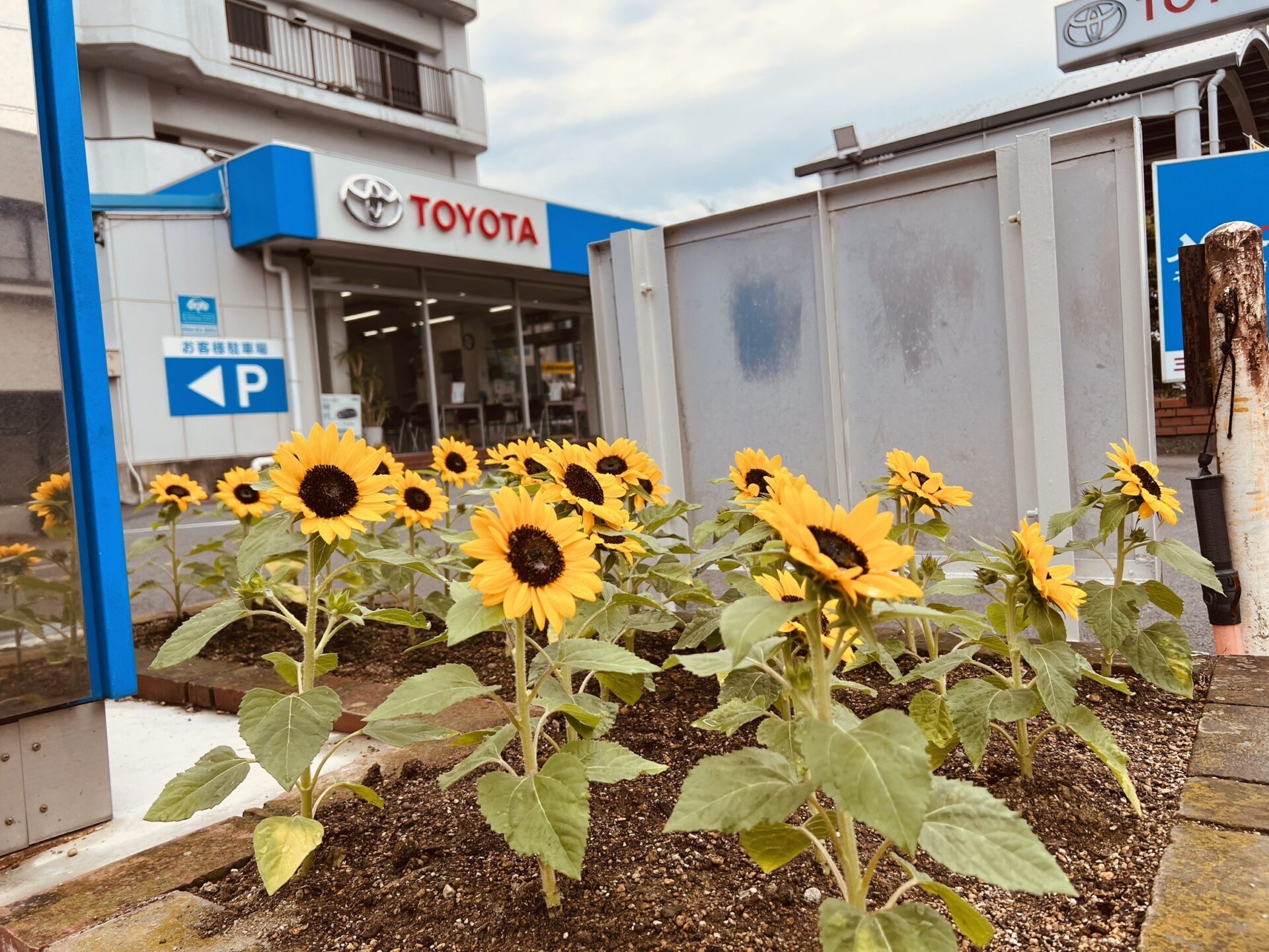 湖西鷲津店　イメージ